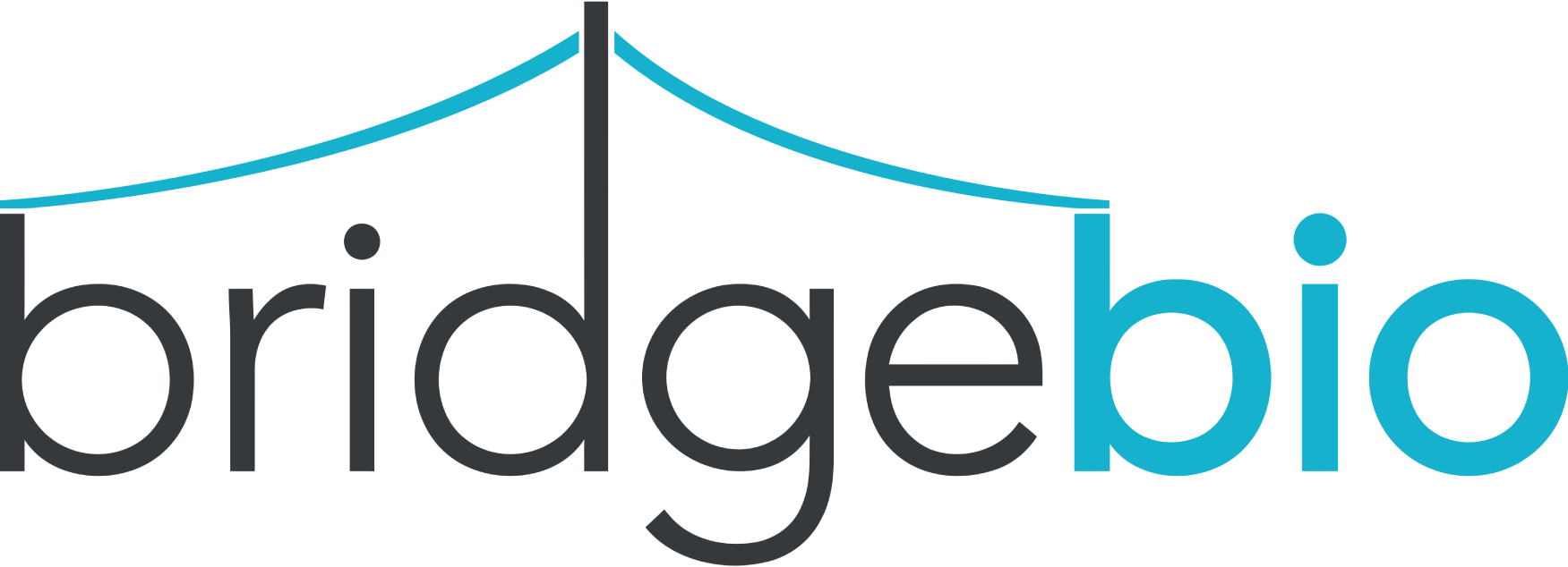 Bridgebio Logo